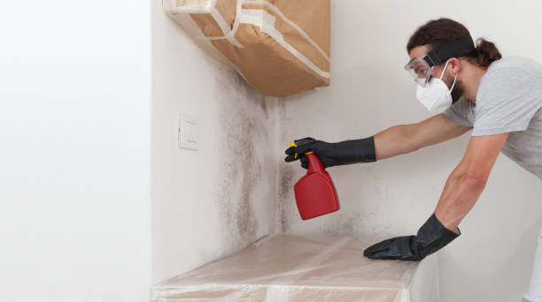 Professional Basement Mold Removal technician working in Freeport, NY